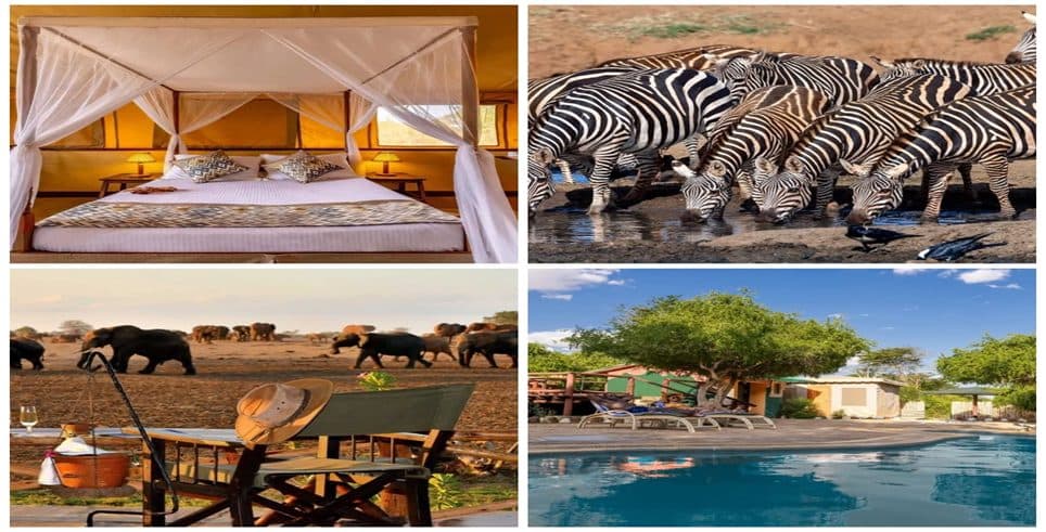 Wildlife and beach on a Kenya safari and coastal holiday