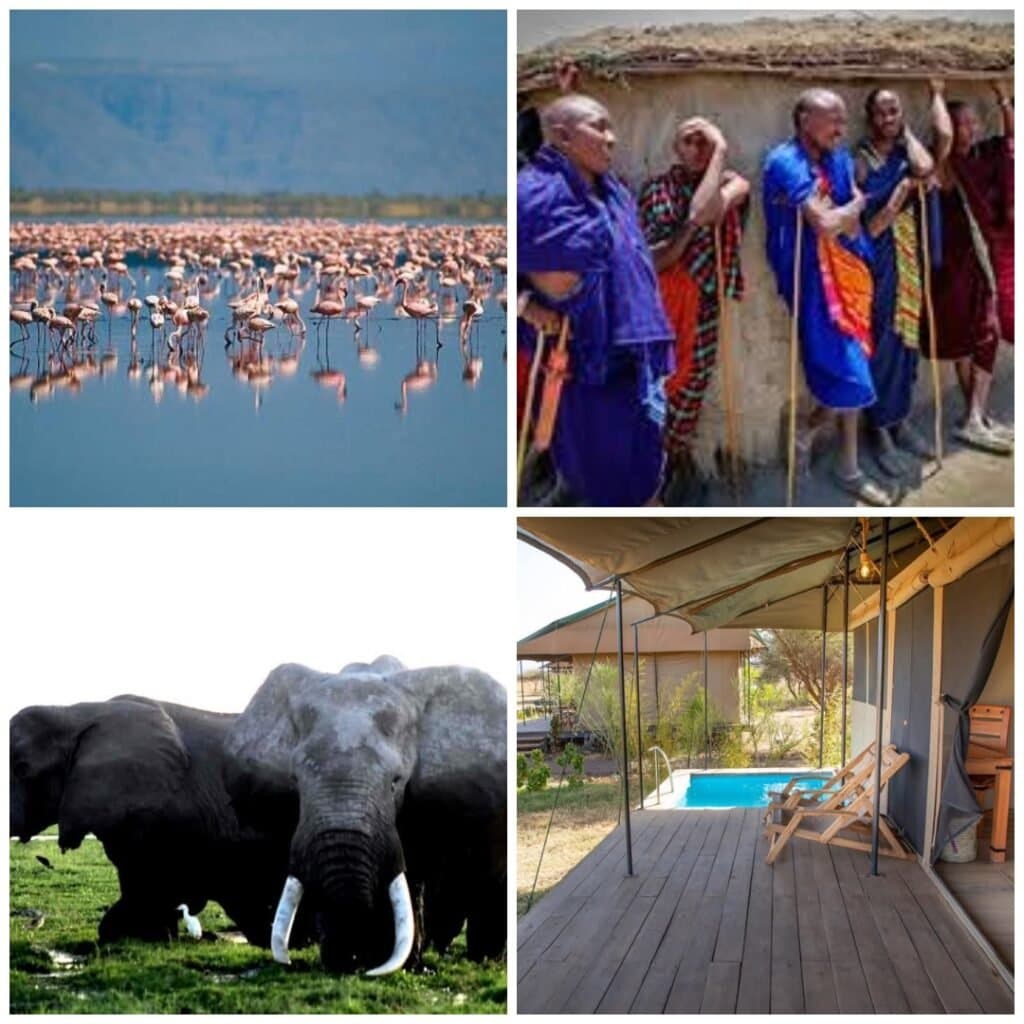 Wildlife and coastline on a Kenya safari and beach holiday