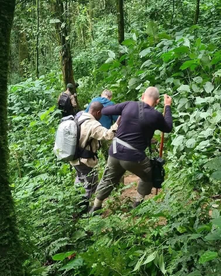 Escursionisti che salgono un ripido sentiero nella foresta fitta