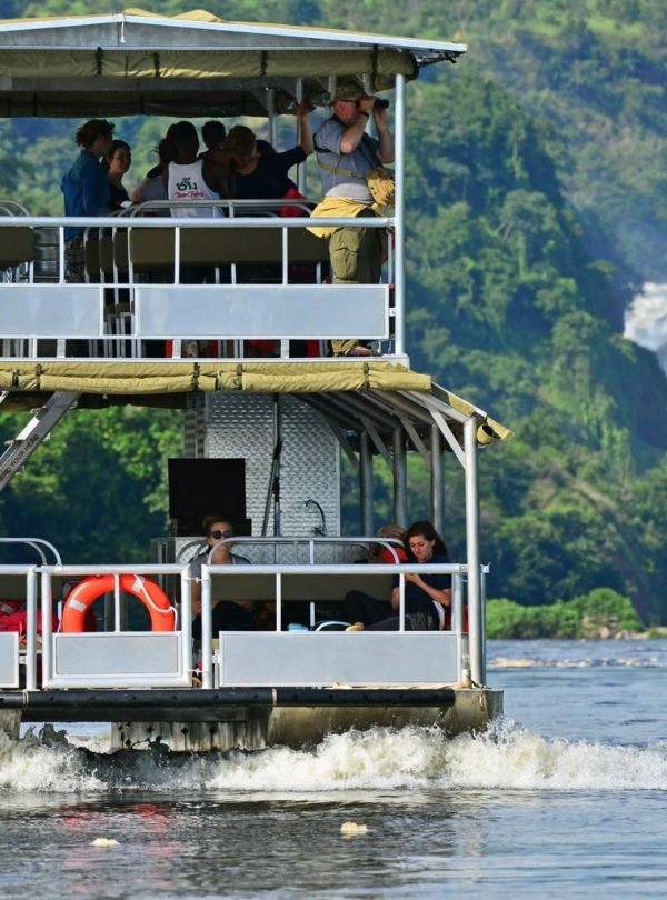 11 Day Uganda Safari