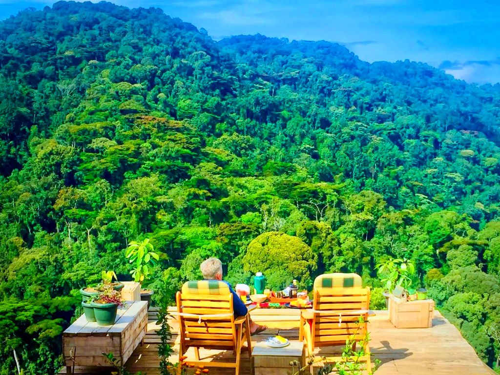 Bwindi Impenetrable National Park