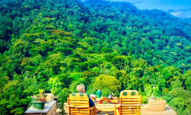 Bwindi Impenetrable National Park