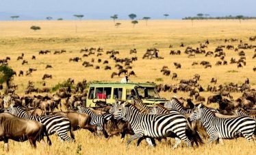 Serengeti National Park