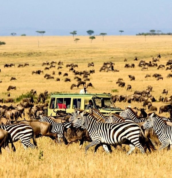 Serengeti National Park