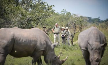 14-Day Amazing Safari in Uganda
