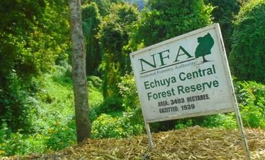 12 Days Albertine Rift Endemics Birding Safari