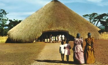 17 Days Primates & Uganda Natural History