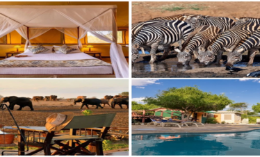 14 Days Kenya Wildlife and Beach Safari