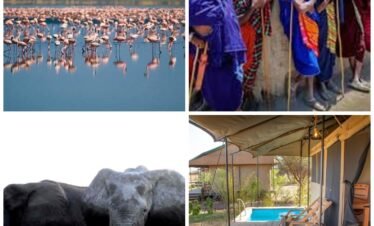 18 Days Kenya Safari & Coastal Holiday